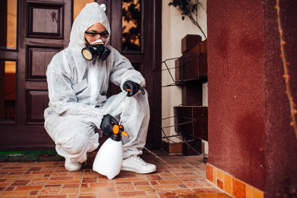 Attic and Crawl Space Rodent Treatment in Sparta